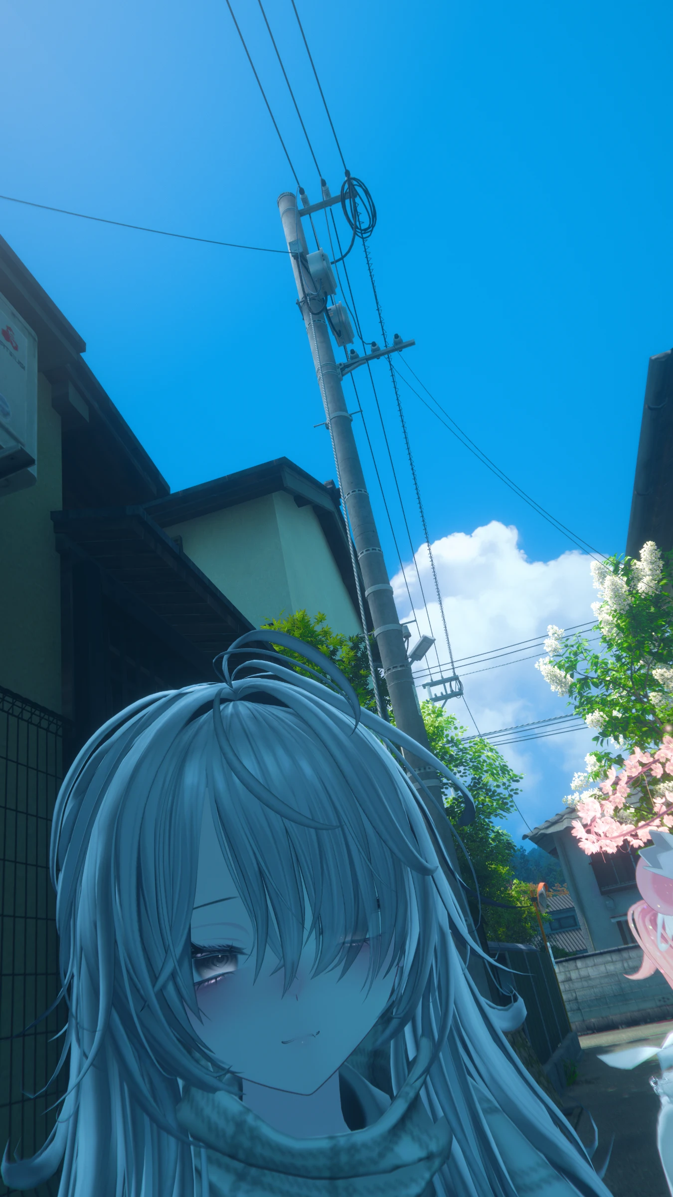 2026年5月8日 · 卡卡！